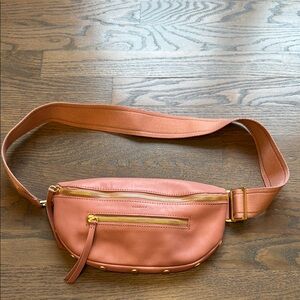 Women's Hammitt Charles medium Pink Leather Belt Bag